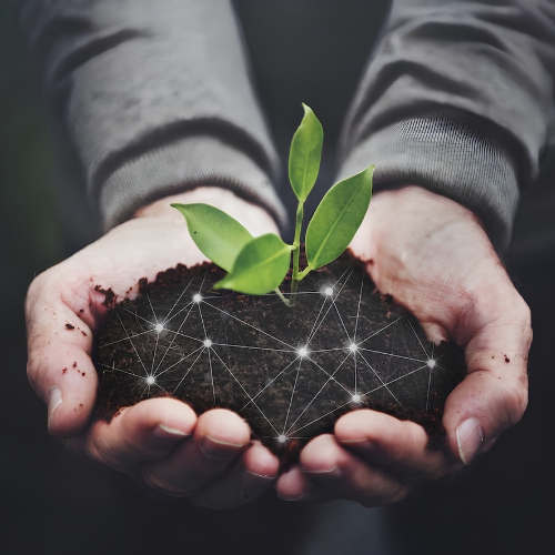Responsible Resource Management